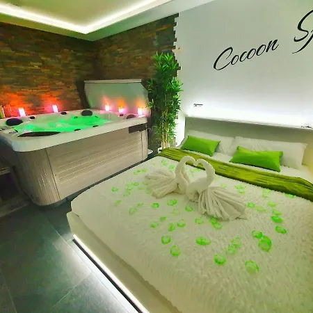 Cocoon Spa-4 Pers-Jacuzzi-Parking-Jardin-Clim-Colmar Holtzwihr Exterior photo
