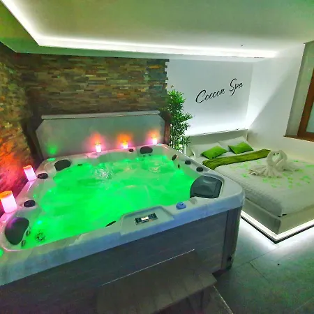 Cocoon Spa-4 Pers-Jacuzzi-Parking-Jardin-Clim-Colmar Holtzwihr Exterior photo