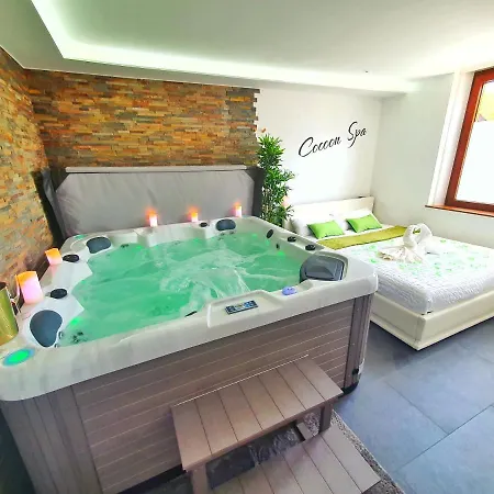 Cocoon Spa-4 Pers-Jacuzzi-Parking-Jardin-Clim-Colmar Holtzwihr Exterior photo