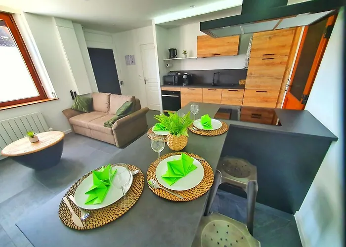 Cocoon Spa-4 Pers-Jacuzzi-Parking-Jardin-Clim-Colmar