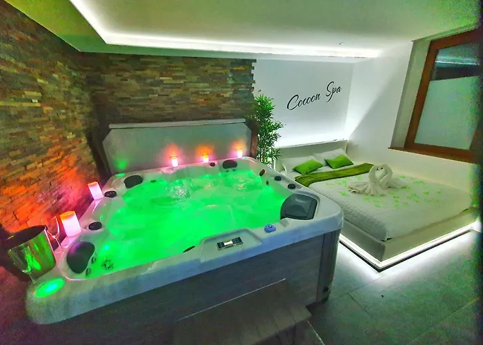 Cocoon Spa-4 Pers-Jacuzzi-Parking-Jardin-Clim-Colmar