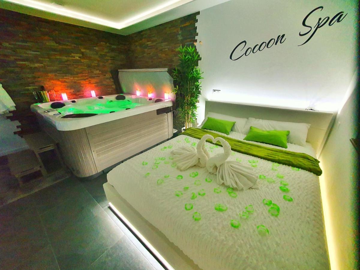 Apartment Cocoon Spa-4 Pers-jacuzzi-parking-jardin-clim-colmar Holtzwihr