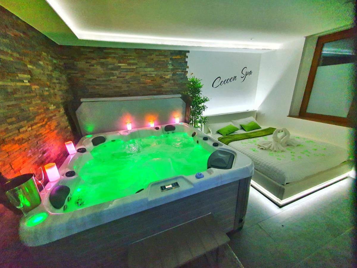 Apartment Cocoon Spa-4 Pers-jacuzzi-parking-jardin-clim-colmar *