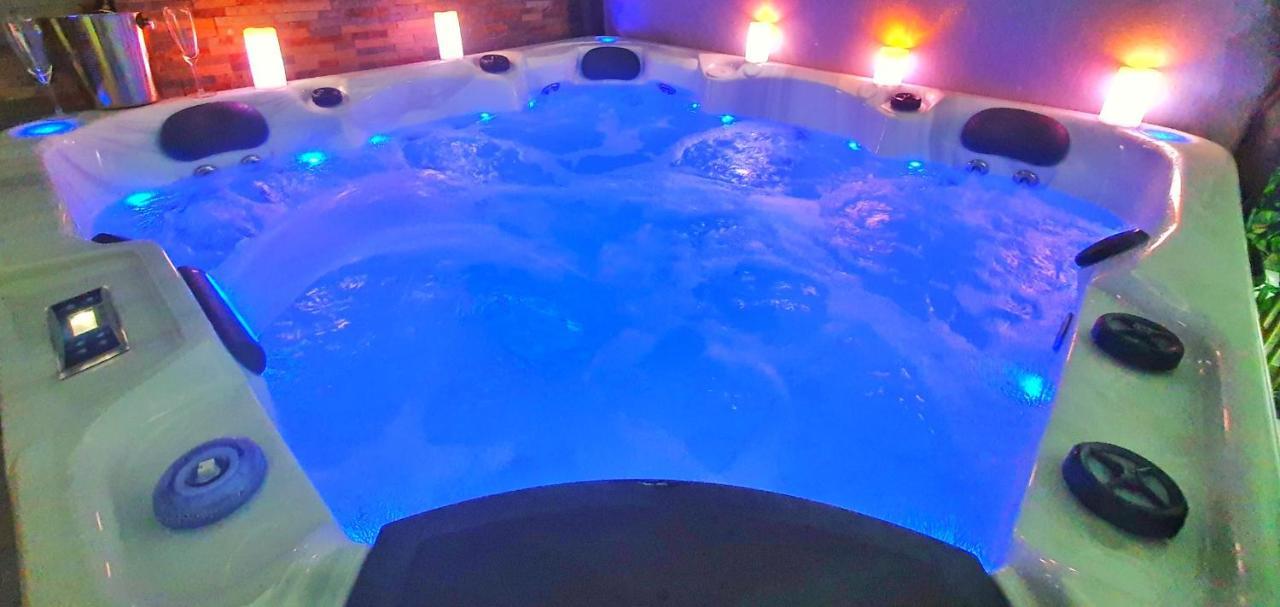 Apartment Cocoon Spa-4 Pers-jacuzzi-parking-jardin-clim-colmar