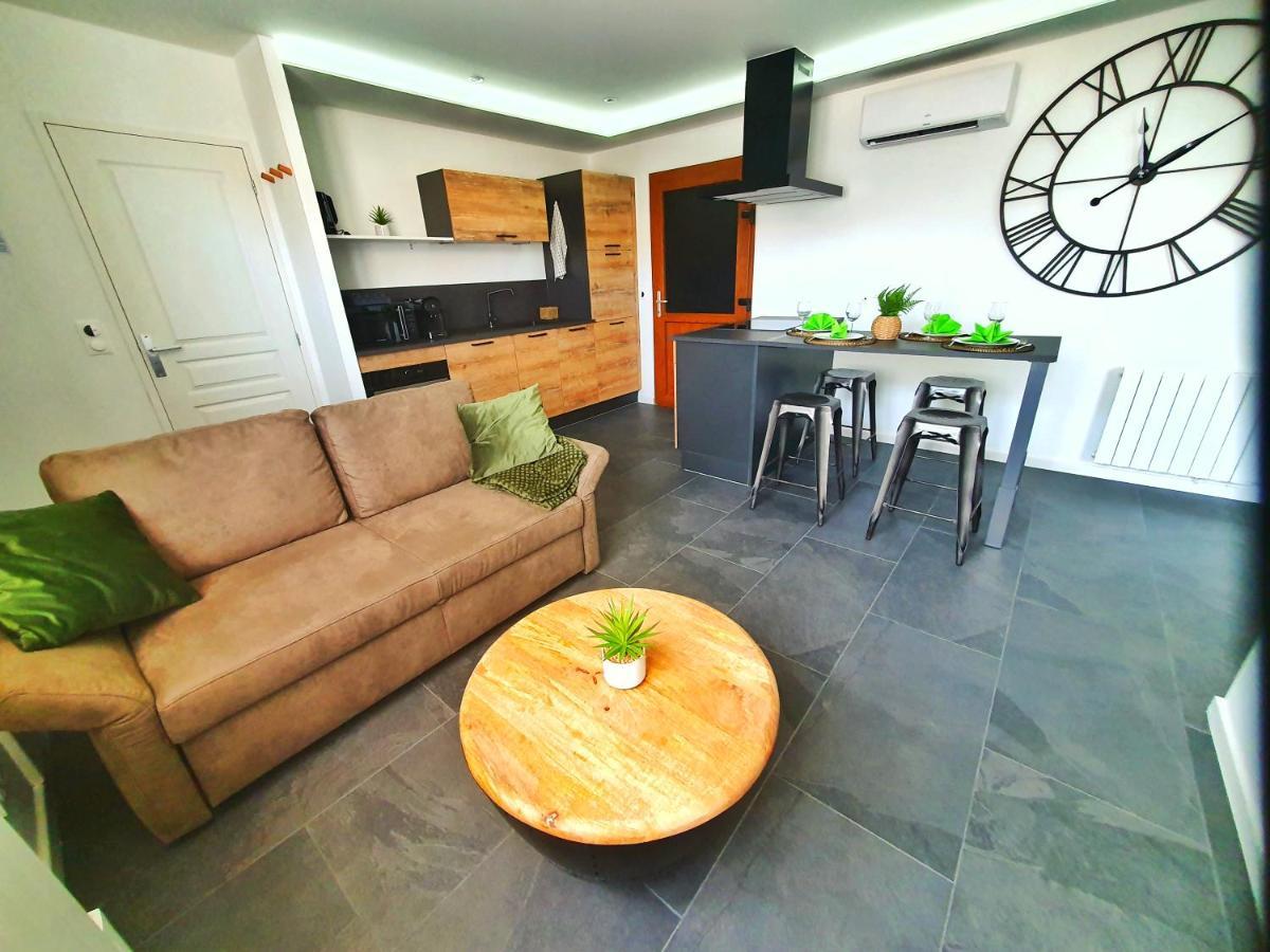 Apartment Cocoon Spa-4 Pers-jacuzzi-parking-jardin-clim-colmar Holtzwihr