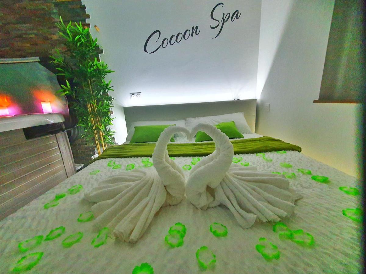 Cocoon Spa-4 Pers-jacuzzi-parking-jardin-clim-colmar Apartment