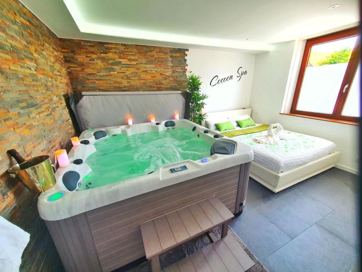 Cocoon Spa-4 Pers-jacuzzi-parking-jardin-clim-colmar Apartment